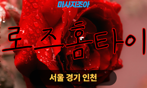 시흥 정왕동 로즈홈타이 출장 마사지 출장 안마 홈타이 여성 관리사 홈케어