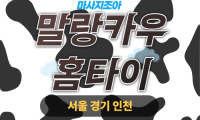 안서동 말랑카우홈타이 힐러의 부드러운 마사지 모습