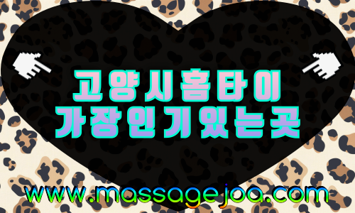 고양시 출장마사지 심야 운영, 화정·행신·대곡·킨텍스 안내