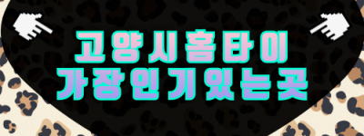 고양시 출장마사지 심야 운영, 화정·행신·대곡·킨텍스 안내