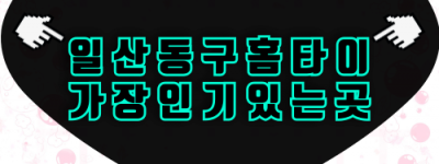 일산 동구 출장마사지 투명 요금, 정발산·마두·백석·라페스타 커버리지