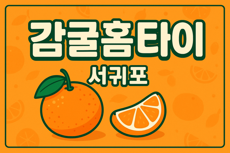 서귀포 출장마사지 홈타이 프리미엄 힐링 관리