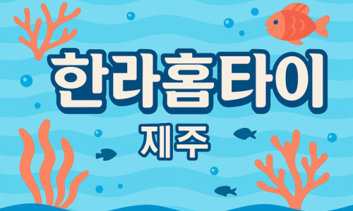 제주 출장마사지 홈타이 전문 힐링 관리