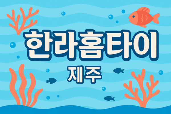 제주 출장마사지 홈타이 전문 힐링 관리