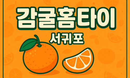 서귀포 출장마사지 홈타이 프리미엄 힐링 관리