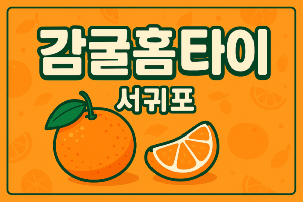 서귀포 출장마사지 홈타이 프리미엄 힐링 관리